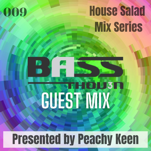 HOUSE SALAD 009: BASSTHOV3N Guest Mix