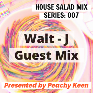 HOUSE SALAD MIX SERIES 007: Walt - J Guest Mix