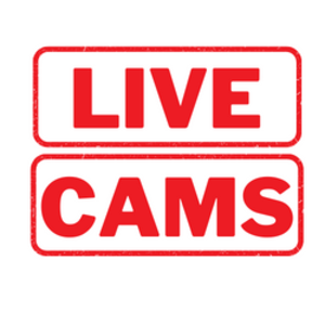 Crazy X Cams Live