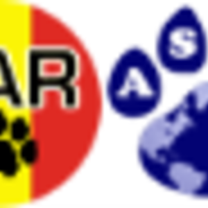 ❤️Support Romania Animal Rescue on Amazon❤️