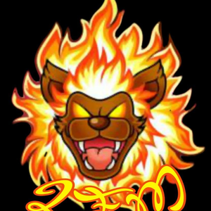 Lions Fire Media Twitter
