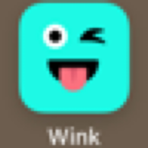 Wink - Make New Snapchat Friends