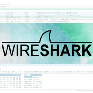 Curso Wireshark: Analisando ataques na rede