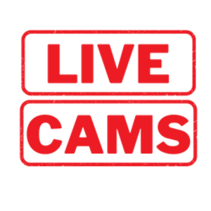 Deluxe Cams Live