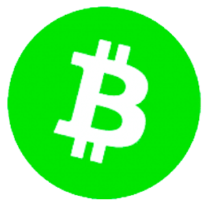 BitcoinCash Payment