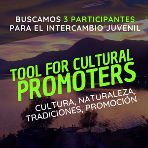YE "Tool for Cultural Promoters"