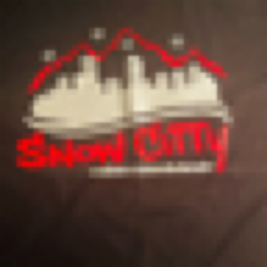 Snowcittyentertainment.com