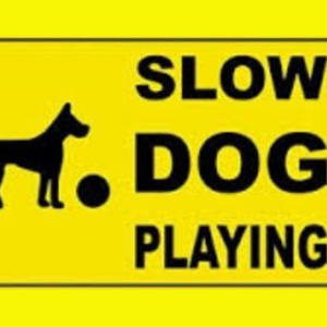 Dog 1 Slow