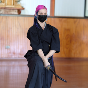 Mi viaje en el iaido