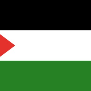 Palestine & how to help!