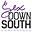Sex Celebs 19 | SexDown South Con