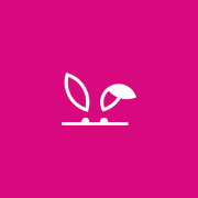Stash Bunny - Fotos e vídeos exclusivos 🔥